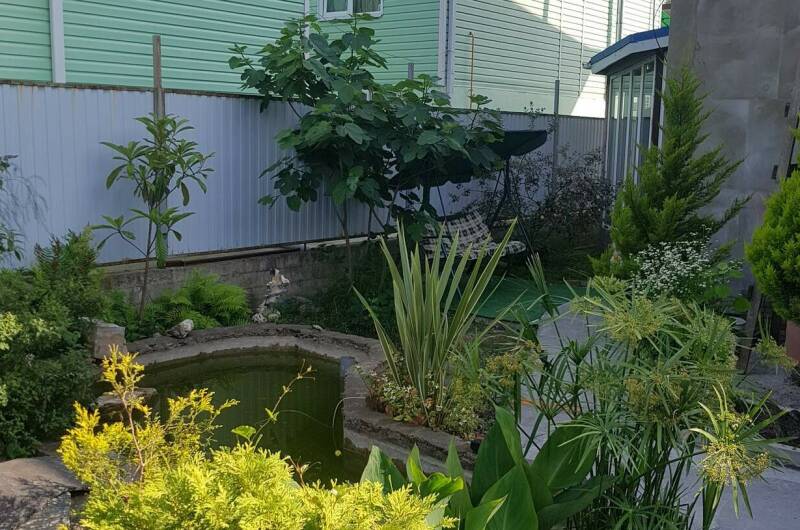 Гостевой дом «Олеся»