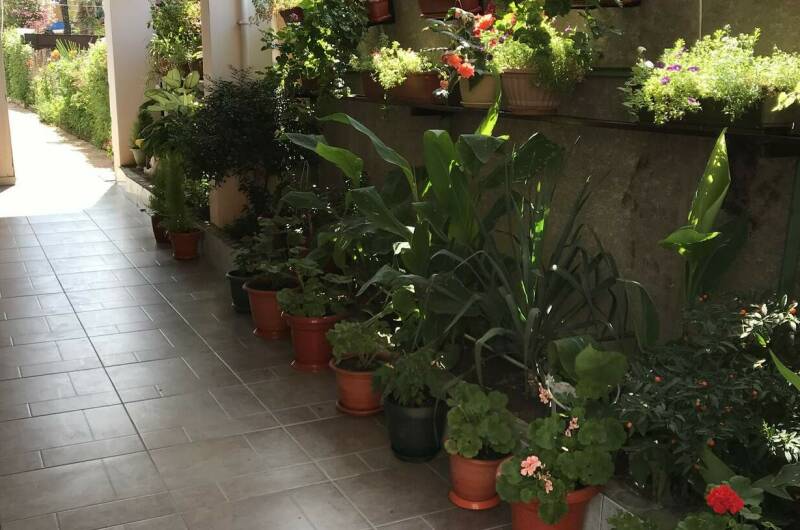 Гостевой дом «Михаил»