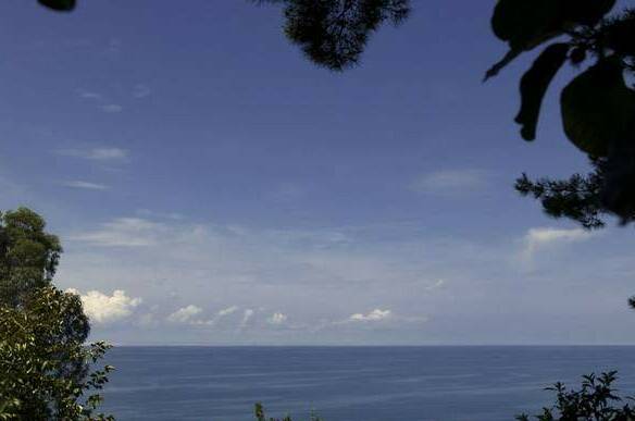 База отдыха «Сосновый бор»