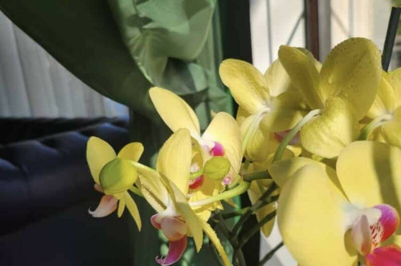 Гостевой дом «Ланета»