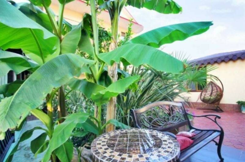 Гостевой дом «У Любаши»