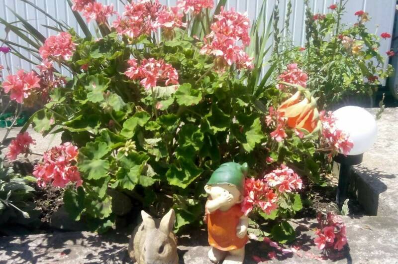 Гостевой дом «У Елены»