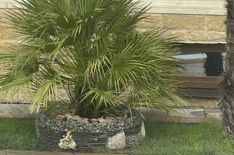 Гостиница «Сильвер» (бывший «Гранд-Отель»)