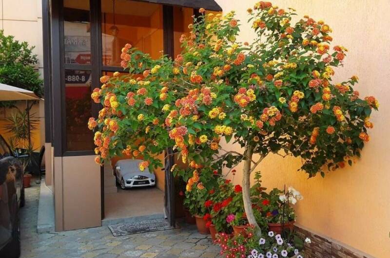 Гостевой дом «В гостях у Минаса»