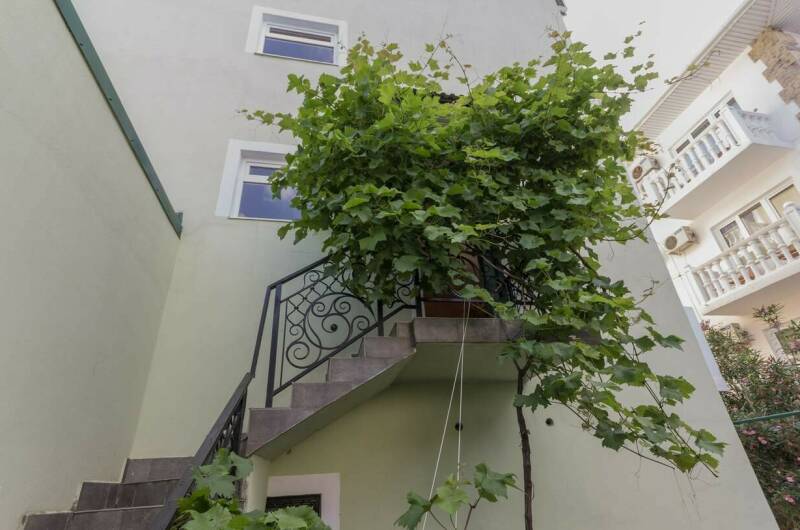 Мини-гостиница «Фазелис»