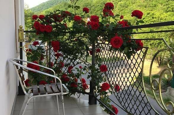 Гостевой дом «Усадьба Арлен»