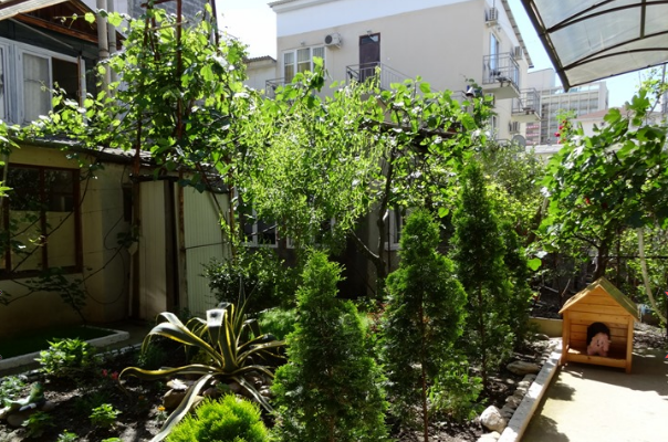 Гостевой дом «Сосновый»