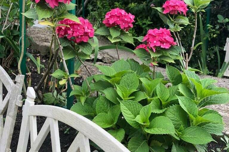 Коттедж под ключ «Сосновый бор»