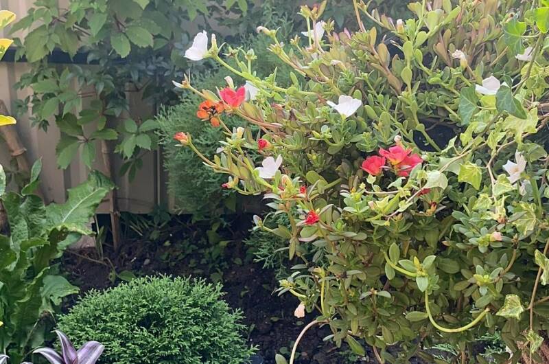 Гостевой дом «В гостях у Валентины»