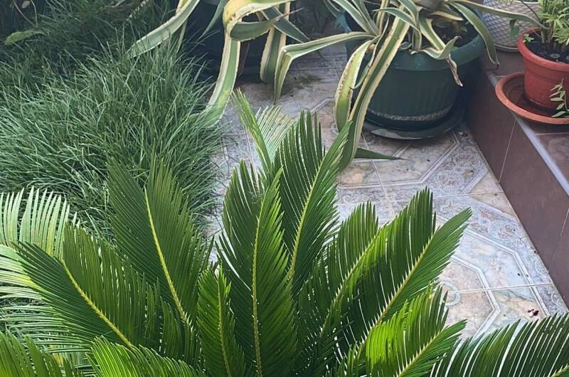 Гостевой дом «В гостях у Валентины»