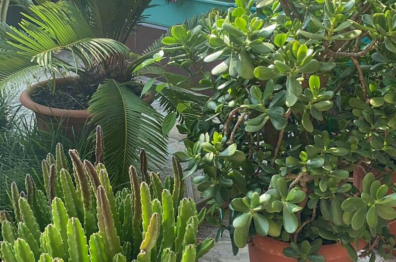 Гостевой дом «В гостях у Валентины»