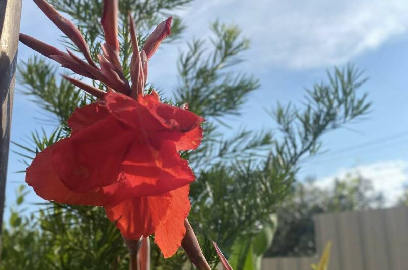 Гостевой дом «В гостях у Валентины»