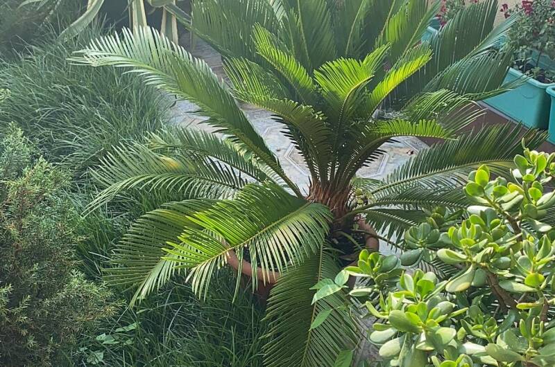 Гостевой дом «В гостях у Валентины»