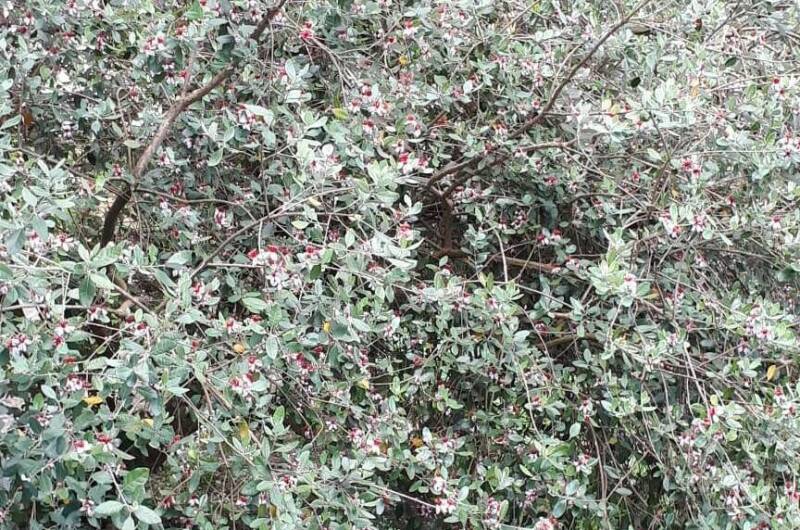 Гостевой дом «Алые паруса»