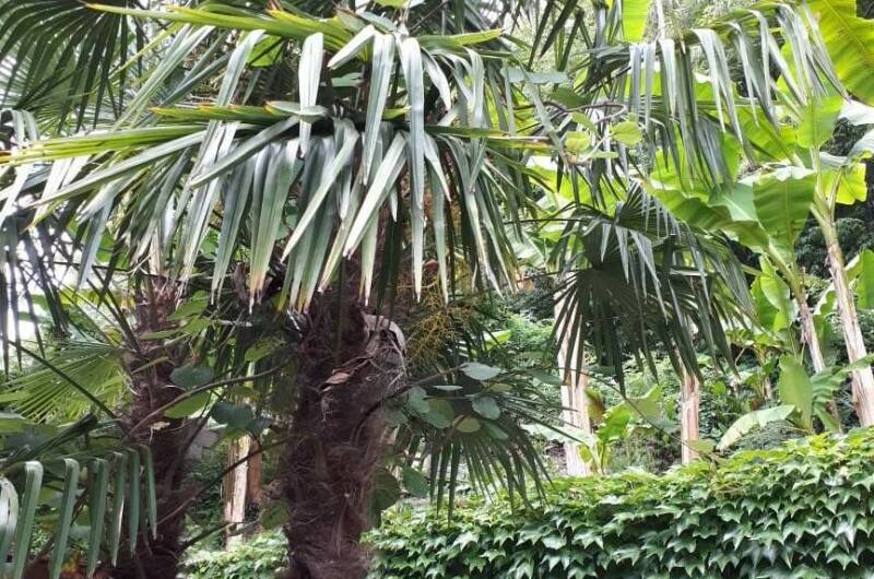 Гостевой дом «Алые паруса»