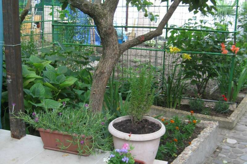 Дом под ключ в центре