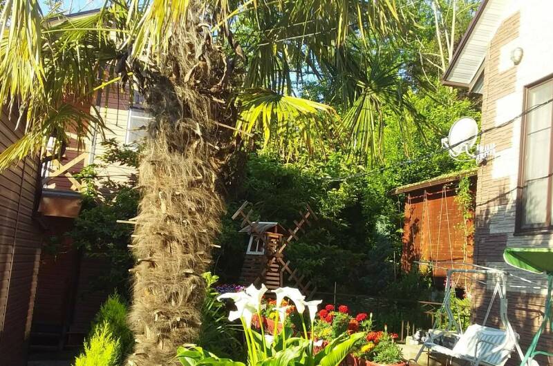 Домик под ключ «Вишня»