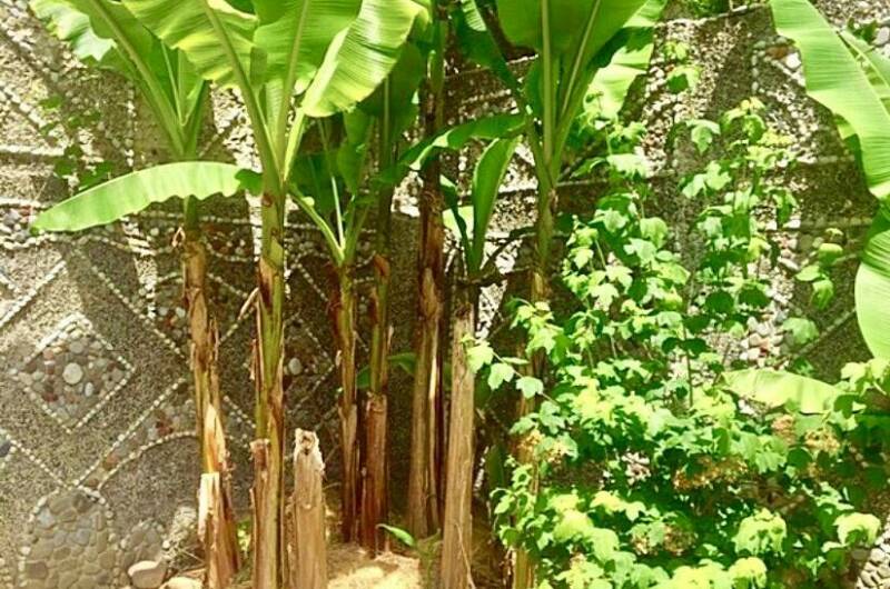 Гостевой дом «Мелодия»