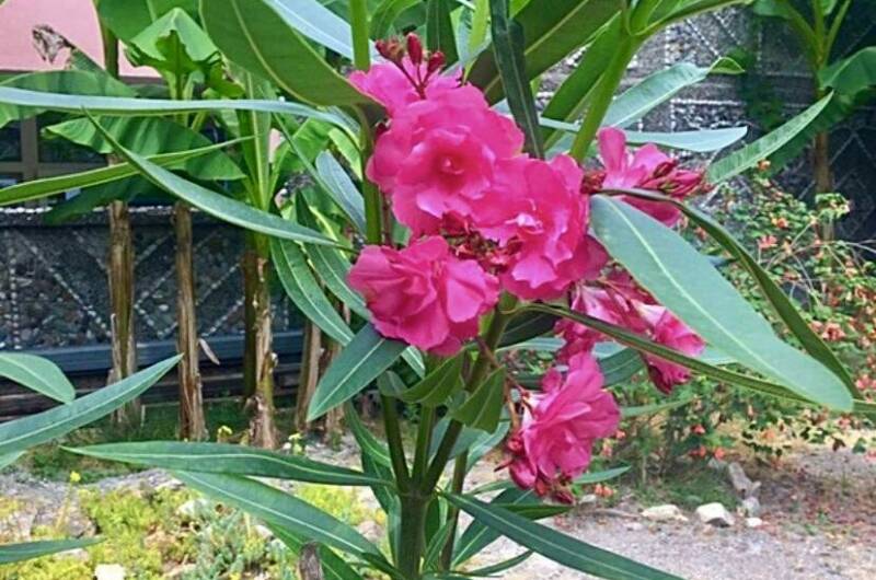 Гостевой дом «Мелодия»