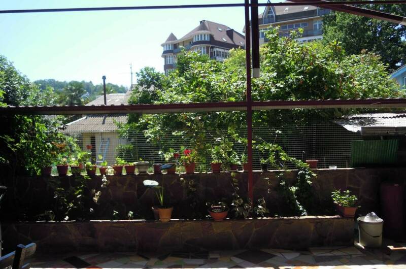 Гостевой дом «Дельфин»