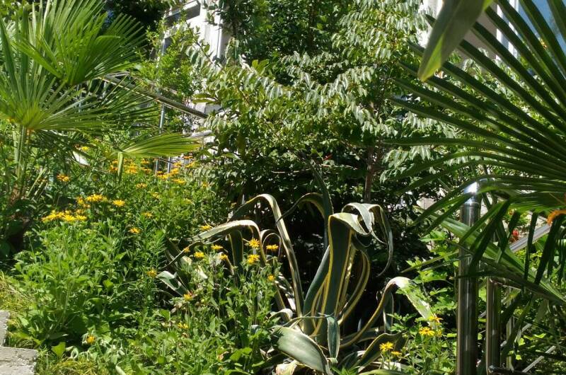 Частный дом «Анастасия»