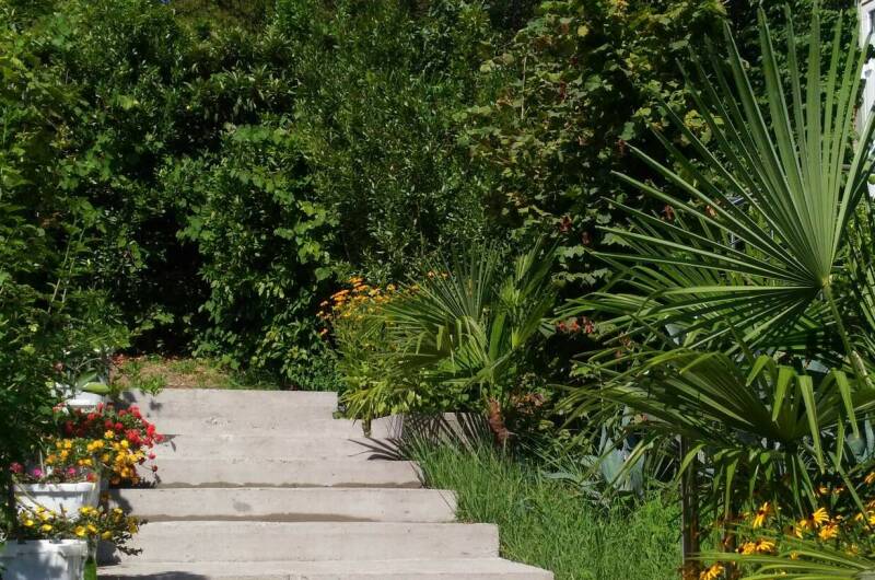 Частный дом «Анастасия»