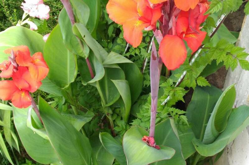 Частный дом «Анастасия»