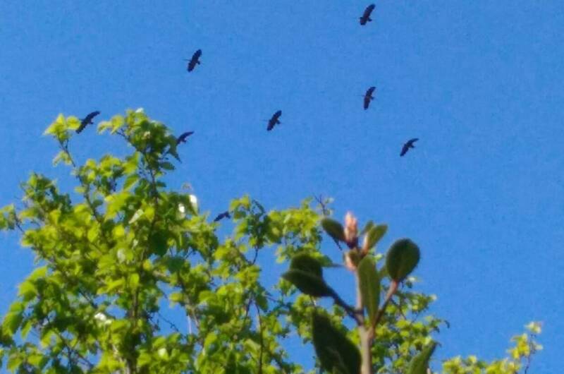 Частный дом «Анастасия»