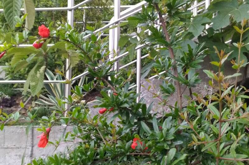 Частный дом «Анастасия»