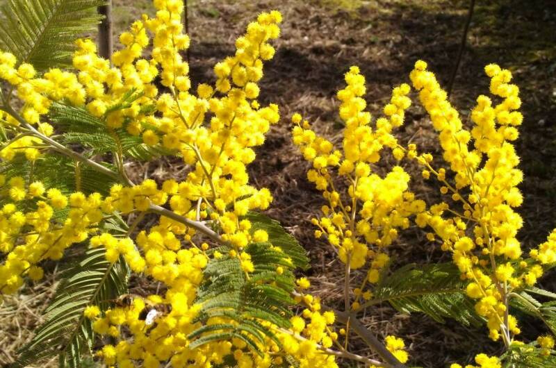 Частный дом «Анастасия»