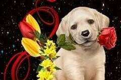 Квартира-студия на Чкалова 11