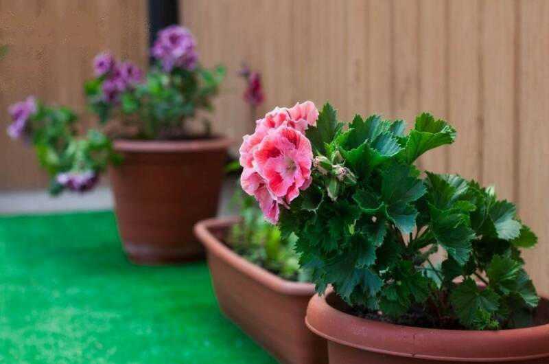 Гостевой дом «Ульяна»