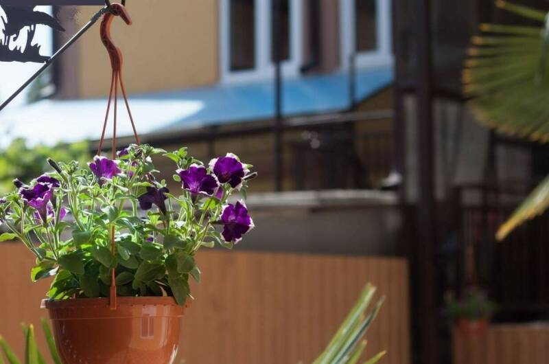 Гостевой дом «Ульяна»