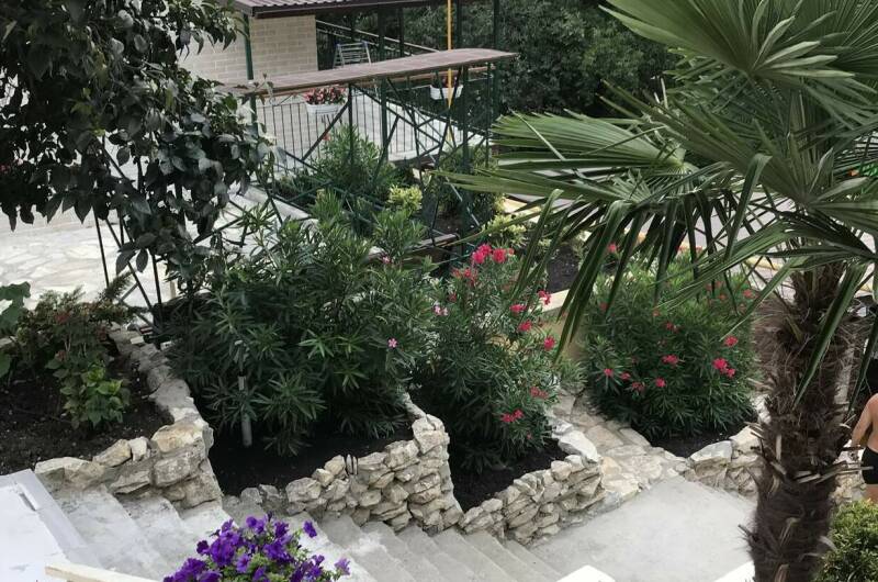 Отель «Dadayan»