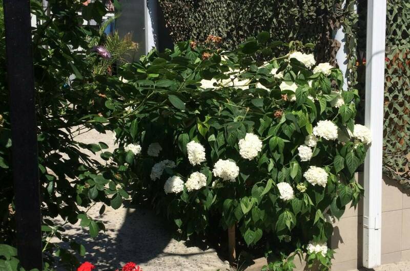 Коттедж под ключ «Мини Рио»