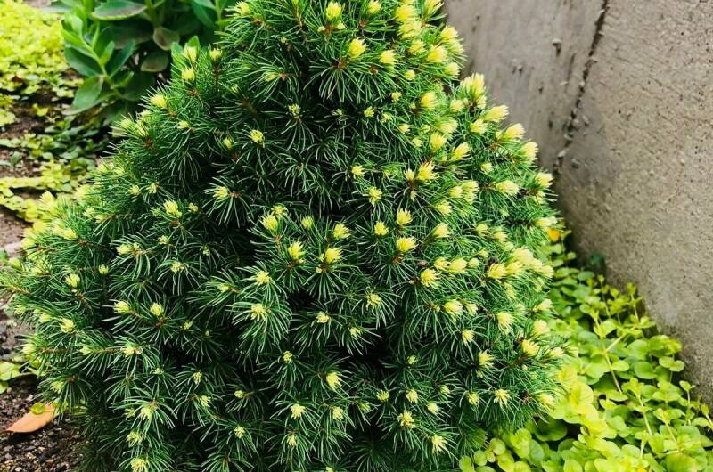 Гостевой дом «Енисей»