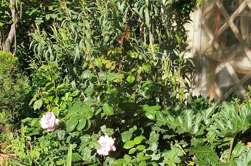 Гостевой дом «Алиса»