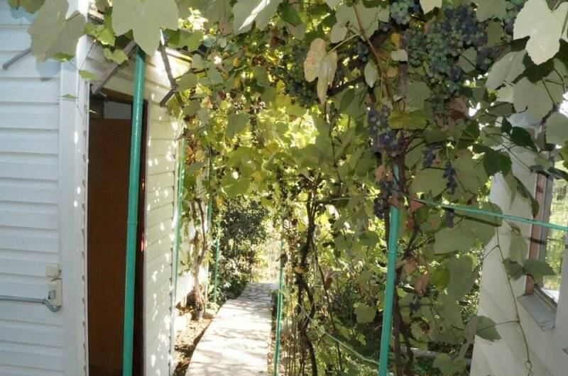 Гостевой дом «Зеленый дворик»