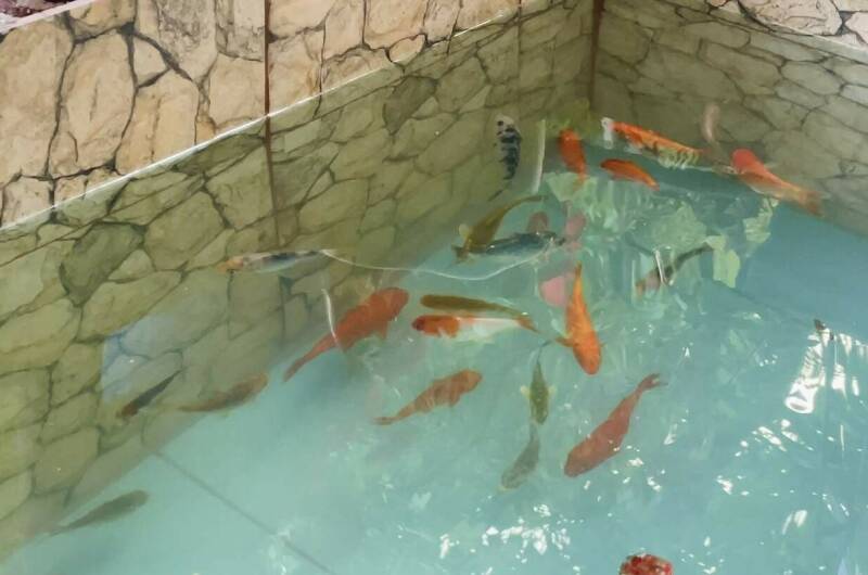 Гостевой дом «Светлана»