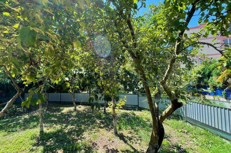 Гостевой дом «Светлана»