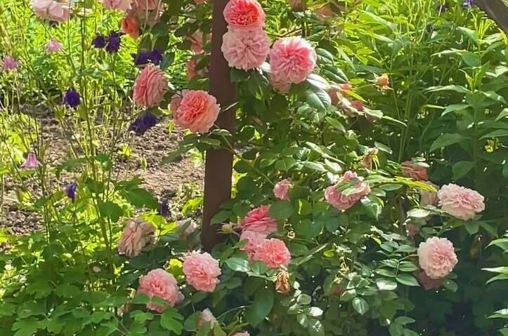 Гостевой дом «Светлана»