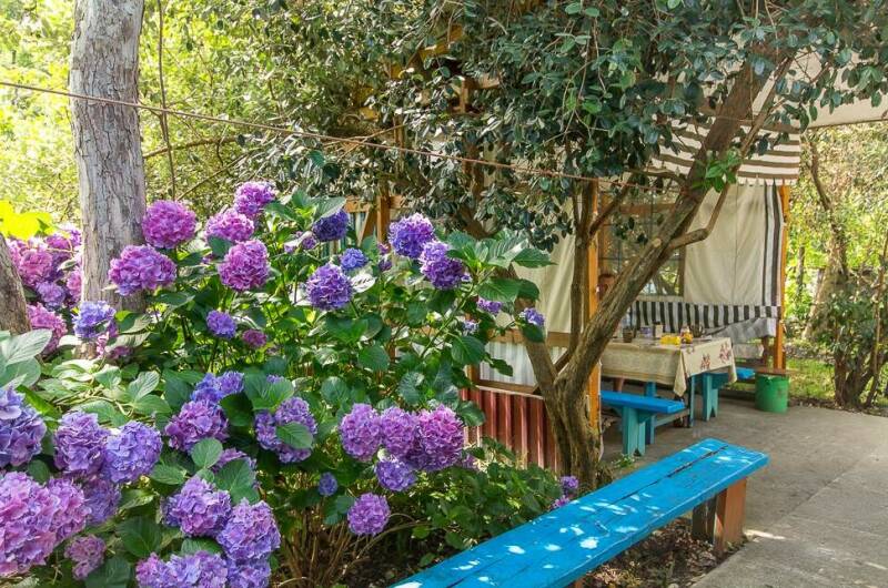 Гостевой дом «У Татьяны»