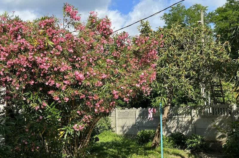 Гостевой дом «У Татьяны»