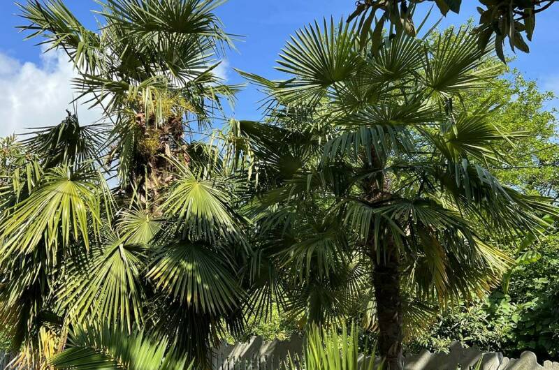 Гостевой дом «У Татьяны»