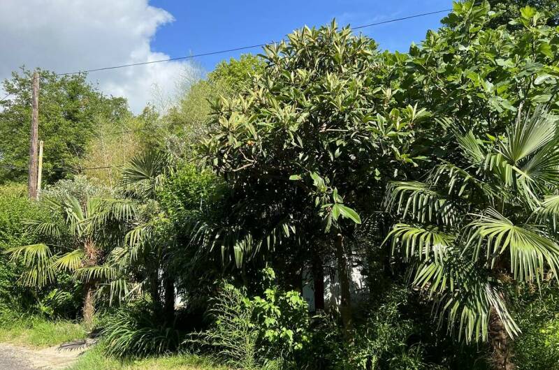 Гостевой дом «У Татьяны»