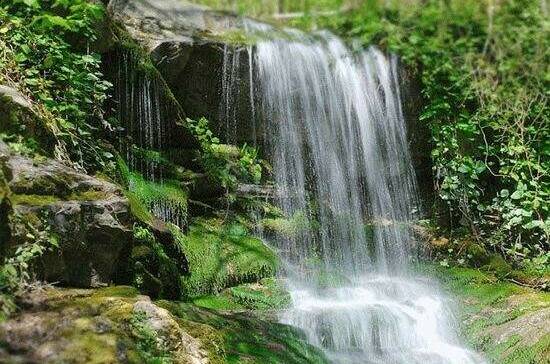 Гостевой дом «Олимпик»