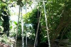 Гостевой дом «Ника»