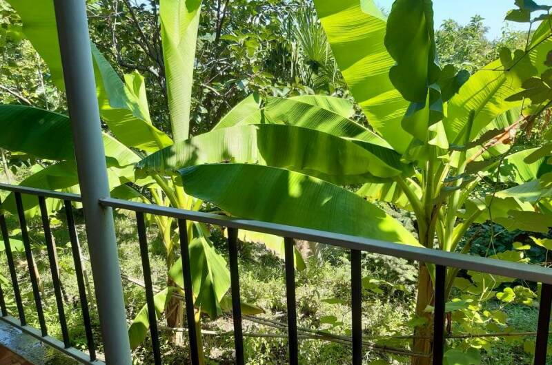 Гостевой дом «Ника»