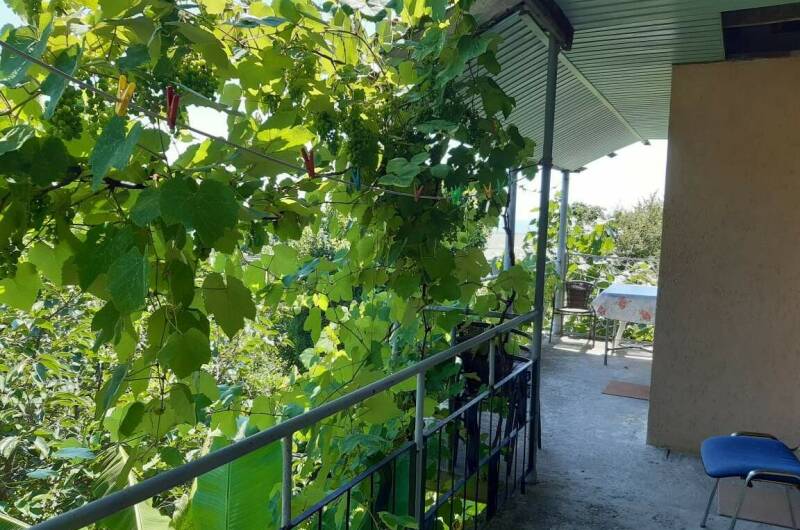 Гостевой дом «Ника»