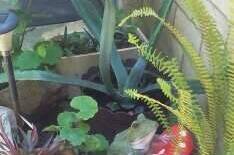 Гостевой дом «Ника»